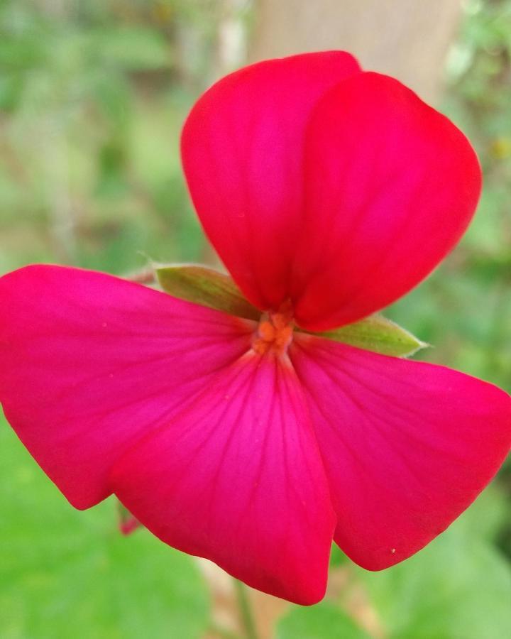 Pousada Hang Conectada Com A Natureza Florianopolis Ngoại thất bức ảnh