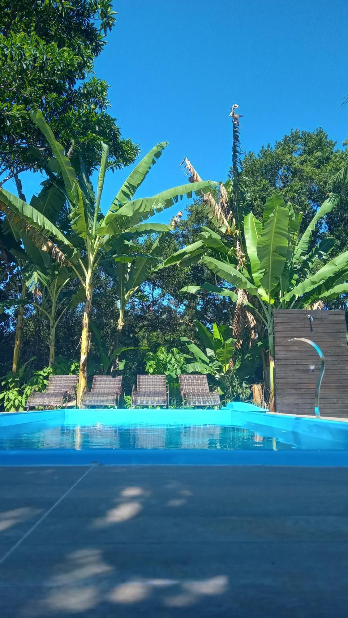 Pousada Hang Conectada Com A Natureza Florianopolis Ngoại thất bức ảnh